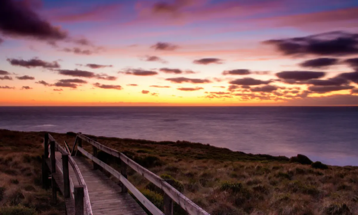 Parcel indi blog feb 7