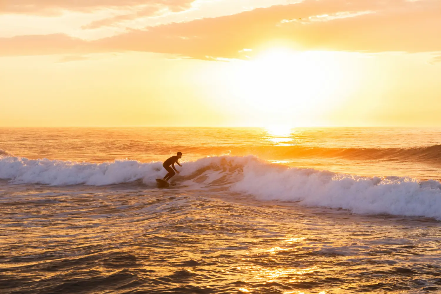 Parcel indi blog feb 4