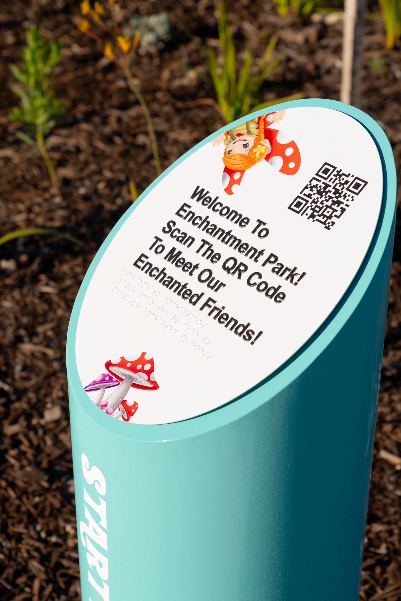 2025 07 25 Neon Palms CUB 204887