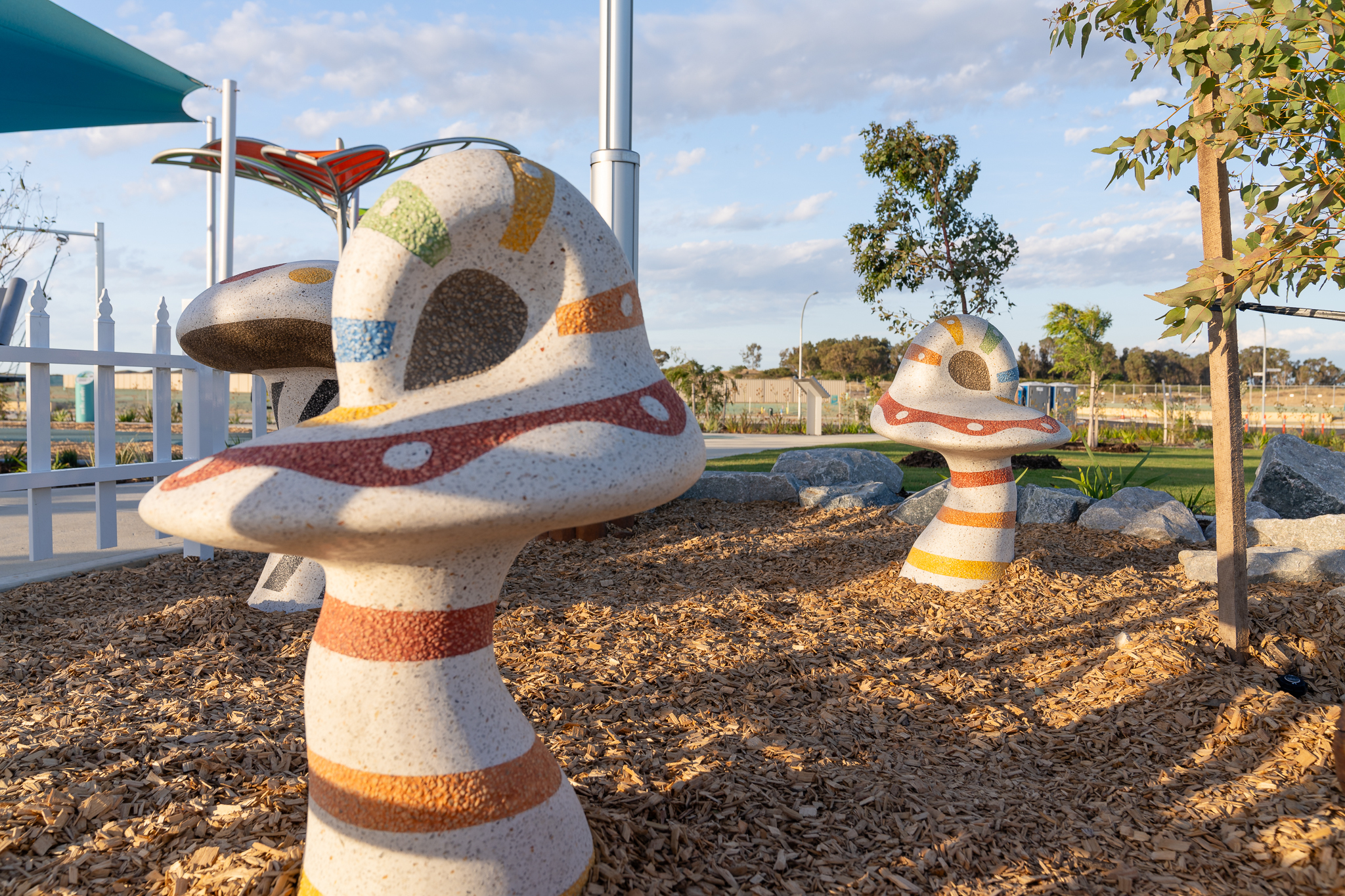 2025 07 25 Neon Palms CUB 205046